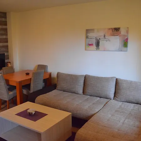 Apartment Vila Elena *