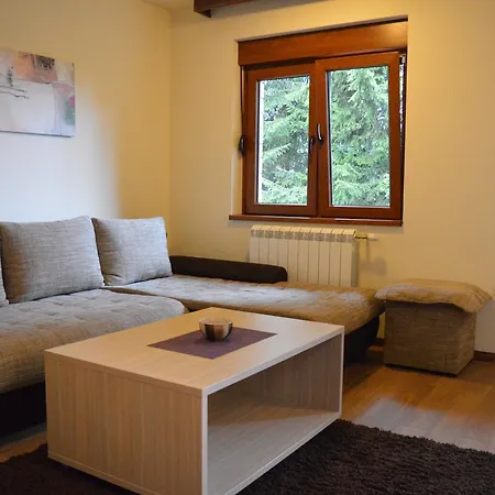 Apartment Vila Elena *